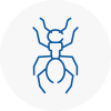 Ant Removals In Bayswater