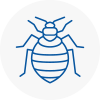 Bed Bug Extermination In Bayswater