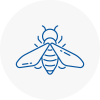 Bee Nest Removal Bayswater
