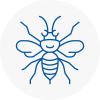 Bayswater Hornet Nest Removals