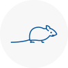 Mice Exterminators In Bayswater