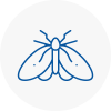 Moth Control Specialists In Bayswater
