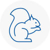 Bayswater Rodent Removals