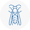 Bayswater Wasp Nest Removal